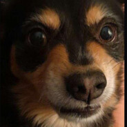 SilentMindSet steam account avatar