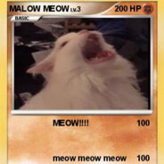 Not meow intensifies