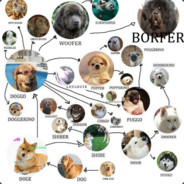 spaghetti squash's Avatar