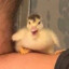 Imma Quack U Up