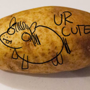 Potato