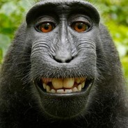 trollsandlols 's avatar