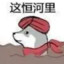 这恒河里doge