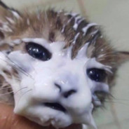 Daijobu