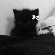 store avatar