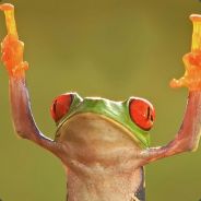 skaarofman