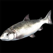 FünfmalViereck's Avatar