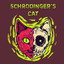 Schrodinger&#039;s Cat