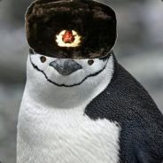 ☭CommunistPenguin☭