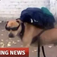 Pereira Johnson's Avatar