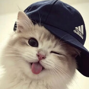 дашк