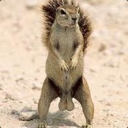 dan