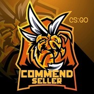 CS:GO Commends Seller