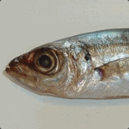 Cara de Carapau