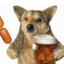 Beer_Dog