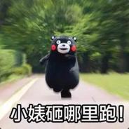 涡轮蒸鸭