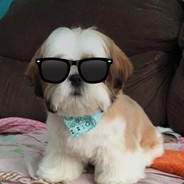 BadBrucE