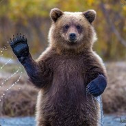 Молчание бурят