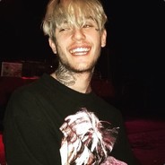 466_alphawolfshard