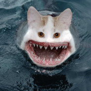 Sharkcatnado