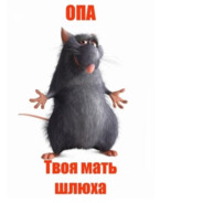 ОПА