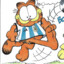 Argentina Garfield