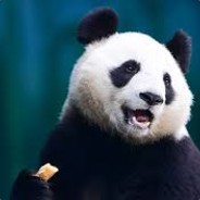 JipJip