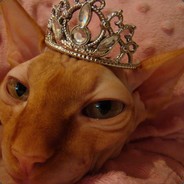 RoyalPussy