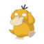 Mr.Psyduck