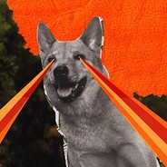 fjord_doggo