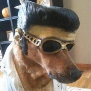 CrackenHeimer