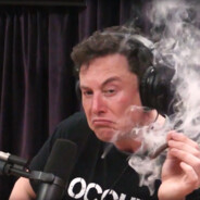 ElonMusk420