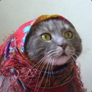 ElitePetite