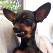 Cool Бaбĸa ︻デ 一