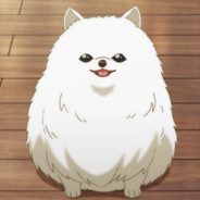 PanDoge