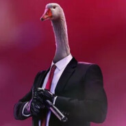 Cunning goose
