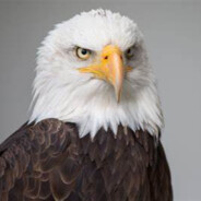 EagleNebula9's Avatar