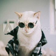 SMOKEYYY