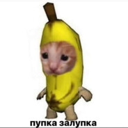 Пупка Залупка