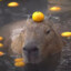 Average Capybara Enjoyer