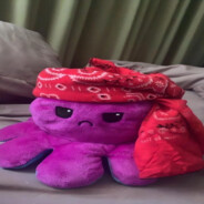kiber_sOlek