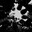 Group Avatar