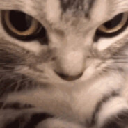 June's avatar