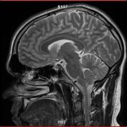 Crazy Train's Avatar