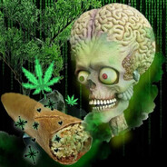 snvr