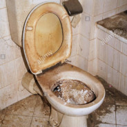 RanzigeKlobrillelele