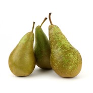 Opearator