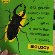 Жучара долбоёб
