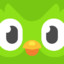 Duolingo_Owl