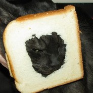 DaBomb Enjoyer's Avatar